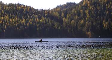 Fernwanderweg Niederösterreich