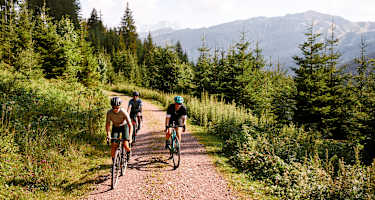 Gravelbikes Test 2019