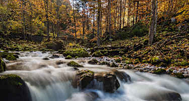 Gesäuse Hartelsgraben
