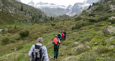 Bergwaldprojekts Schwarzensteinkees