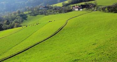 Grimmenstein-Wanderung