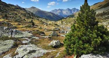 Der Jakobsweg Graubünden führt die Pilgern durch die schönsten Gebiete der Region Graubünden.