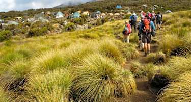 KIlimanjaro Expedition