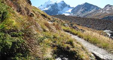 Weitwandern am Bernina Trek