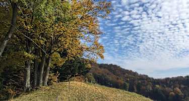 Bunte Wanderungen für den Herbst