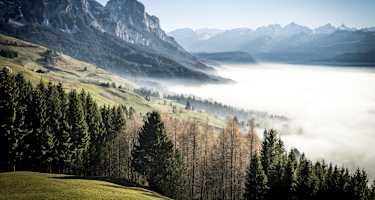 Nebelmeer am Hochstuckli