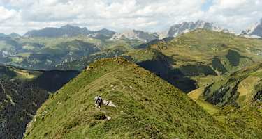 Ein Grat führt von Jägglisch Horn nach St. Antönien. Dahinter erstreckt sich das Prättigau mit Drusenfluh, Drei türmen und Sulzfluh
