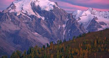 Ortler im Abendlicht