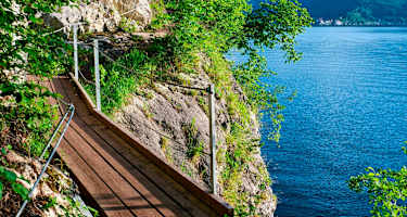 Der Miesweg am Ufer des Traunsees