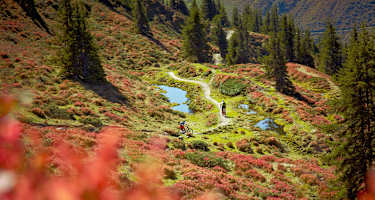 Hacklberg Trail mit dem Mountainbike