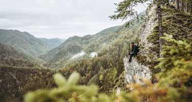 Luchstrail im Nationalpark Kalkalpen