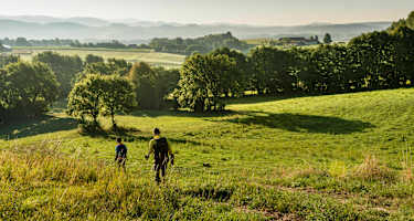 Der Goldsteig im Bayerischen Wald 