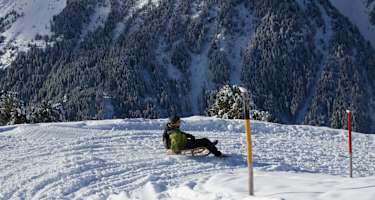 Rodeln auf der Juifenalm