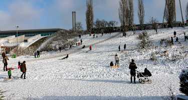 Rodeln im Mauerpark in Berlin