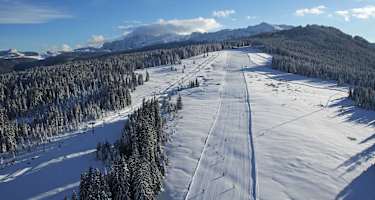 Steinplatte von oben