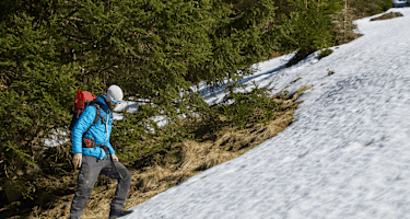 Prüfen der Schneeoberfläche: Gefroren oder aufgeweicht?
