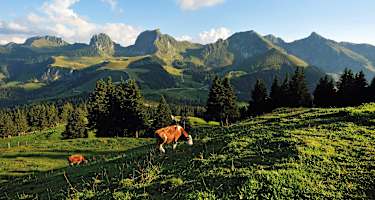 Schweiz Naturpark Gantrisch im Kanton Bern