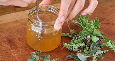 Selbstgemachter Kräuteressig