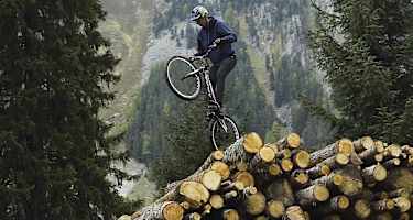 Sehnsuchtsort Wald: 8 Wanderungen