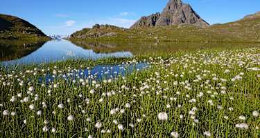 Lasörling Höhenweg in Osttirol: Am Arnitzsee im Virgental