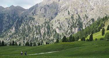 Der Aufstieg zum Zendler Kofel beginnt gemütlich...