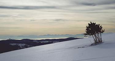 Belchengipfel im Schwarzwald