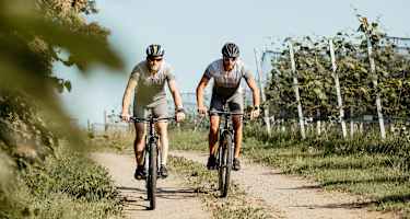 Zwei Männer fahren auf Mountainbikes zwischen Weinbergen hindurch.