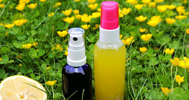 Selbstgemacht: Zitronen- und Salbeideo