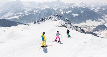 Bergwelten Skigebiete