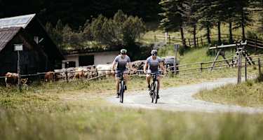 Zwei Radfahren, fahren über einen Radweg an Kühen vorbei