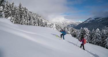 Skitourengeher im Gelände