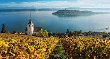 Rebberge am Bielersee im Kanton Bern: Blick auf den See mit der St. Petersinsel