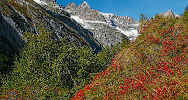 Höhenwege im Wallis: Wandern in der Bietschhorngruppe