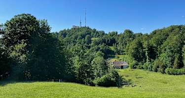 Blick auf den Uetliberg vom Planetenweg