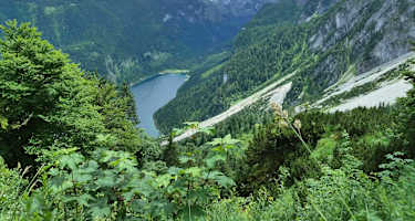Blick von oben auf den Gosausee und die dahinter liegende Gosaulacke.