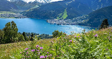 Blick auf Zell am See