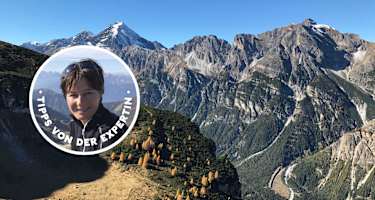 Habicht im Gschnitztal