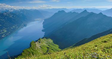 Berner Alpen: Blick auf den Brienzersee im Kanton Bern