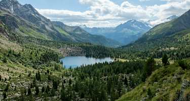 Val da Camp, Berninatrek