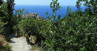 Cinque Terre - Wandern in Ligurien