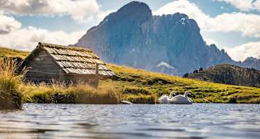 Dolorama: Eisacktal in Südtirol