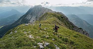 Mit der richtigen Vorbereitung können auch Laufanfänger bei einem Trailrunning-Wettkampf mitmachen.