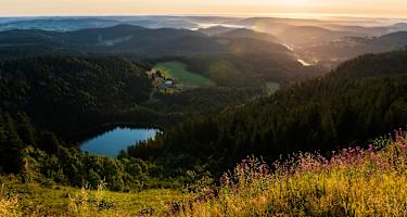 Hochschwarzwald: Wandern am Feldberg