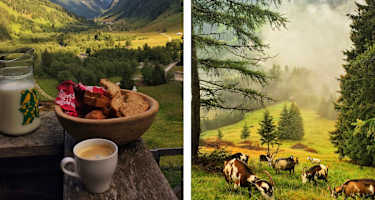 Schule der Alm im Valsertal: Frühstück auf Helgas Alm in Tirol