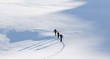Die Skitourengruppe beim Aufstieg.
