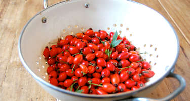 Selbstgemacht: Hagebutten-Ketchup