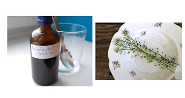 Capsella Bursa-Pastoris: Heilpflanze Hirtentäschel