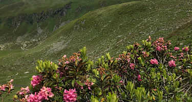 Das Ziel der diesjährigen Aktion „Saubere Berge“ - die Ahornspitze  - verbirgt sich noch in den Wolken.