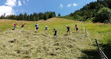 Menschen machen auf einer Bergwiese Heu