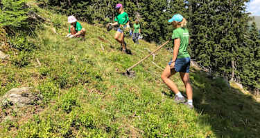 Bergwaldprojekt Obernberg